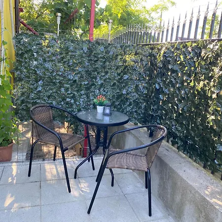Casa Irina 3* スリナ