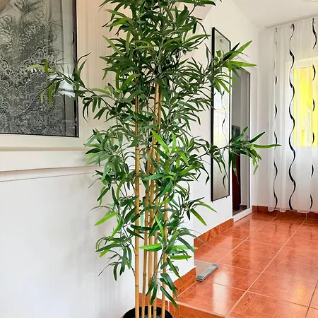 Casa Irina سولينا